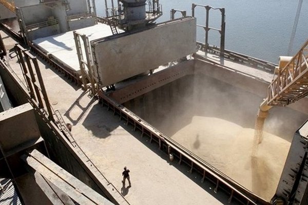 Порты в странах Балтии готовы присоединиться к экспорту украинского зерна