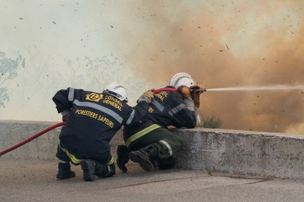 На границе Испании и Франции произошел лесной пожар: эвакуировали более 130 человек