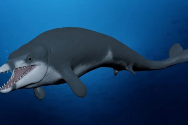 В пустыне Египта нашли останки кита, которым 41 миллион лет (фото)