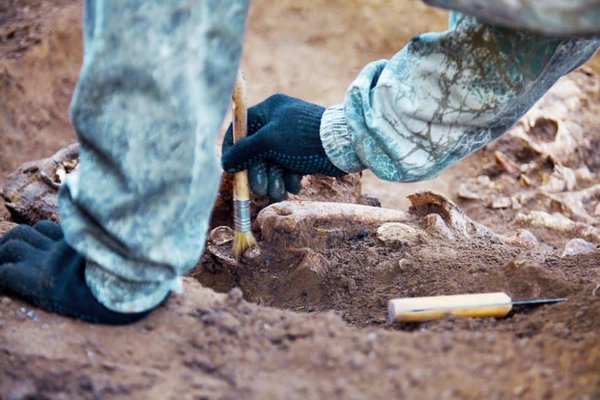 Археологи нашли готическое кладбище с драгоценностями