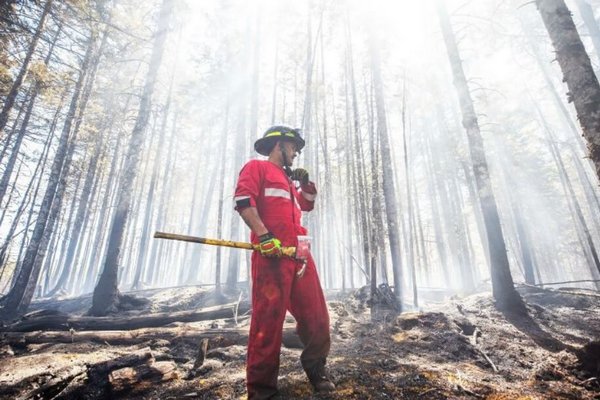 Лесной пожар в Греции уничтожил площадь больше Нью-Йорка
