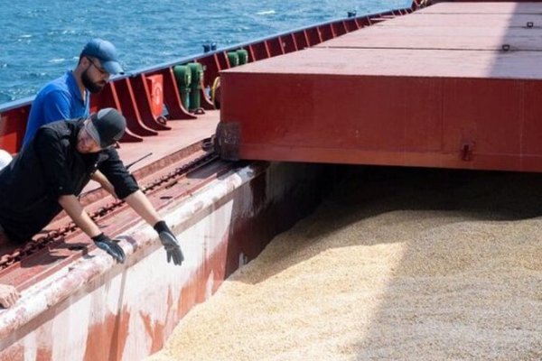 Украинское зерно начали экспортировать через порты Хорватии