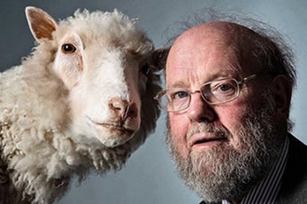 Умер шотландский ученый, клонировавший овечку Долли