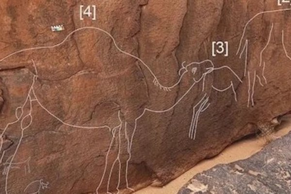 В пустыне Саудовской Аравии обнаружили таинственные изображения вымерших верблюдов (фото)