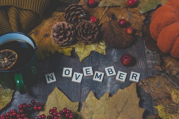 Календарь праздников в ноябре 2023: будут ли дополнительные выходные, сколько дней будем работать