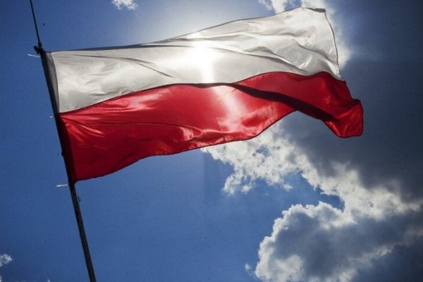 Выборы в Польше: данные более 90% избирательных округов