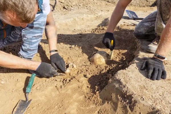 В Великобритании археологи обнаружили останки доисторического монстра