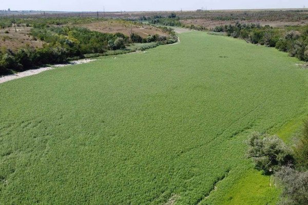 Правительство запретило нецелевое использование земель Каховского водохранилища
