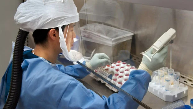Смертоносные раковые клетки в мозге убивают опасный вирус: новая разработка ученых