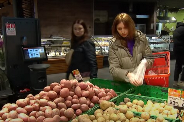 Цена опустилась на 12%: в Украине дешевеет один из главных продуктов, какая причина
