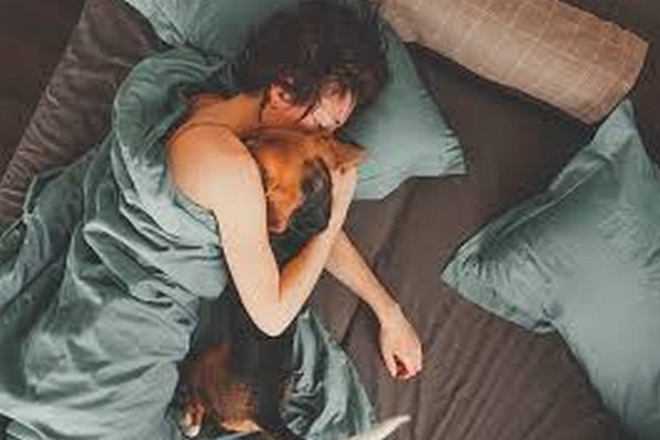 Можно ли спать с домашними животными в одной постели