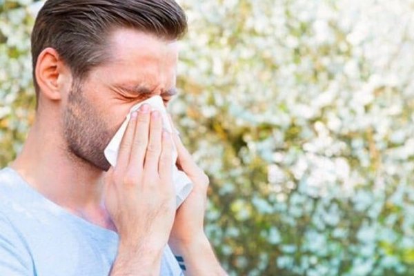 В мае активность пыльцы еще останется: аллерголог дал советы, как легче перенести сезон аллергии
