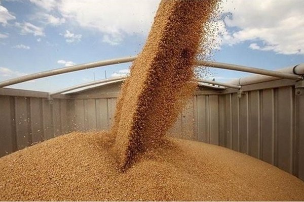 Украина экспортировала более 41 млн т зерновых и зернобобовых