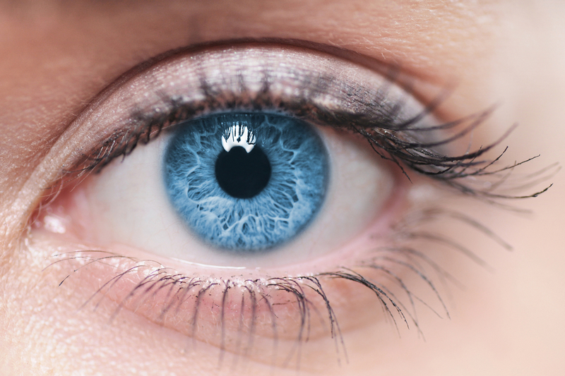 Ученым удалось воссоздать человеческий глаз