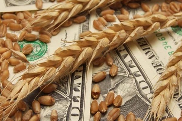 На экспорт ушло 17 млн т украинской пшеницы