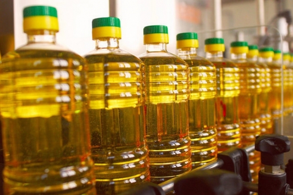 Дефицит подсолнечника в Украине: как низкие запасы влияют на цены