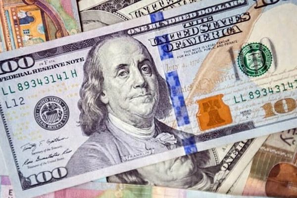 Как изменился курс доллара: ПриватБанк обновил валютные показатели