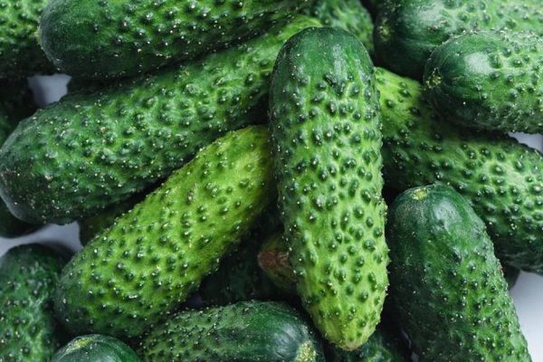 Себестоимость против рынка: почему падение цен на огурцы губительно для производителей