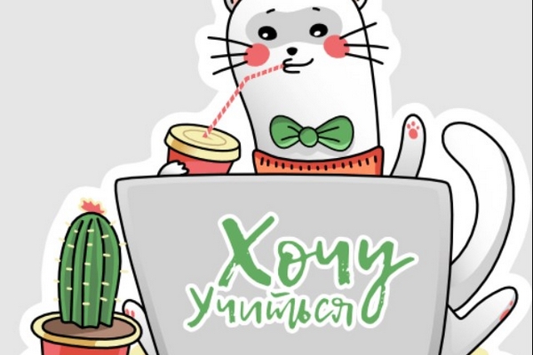 Онлайн-школа для 10–11 классов: современный формат обучения