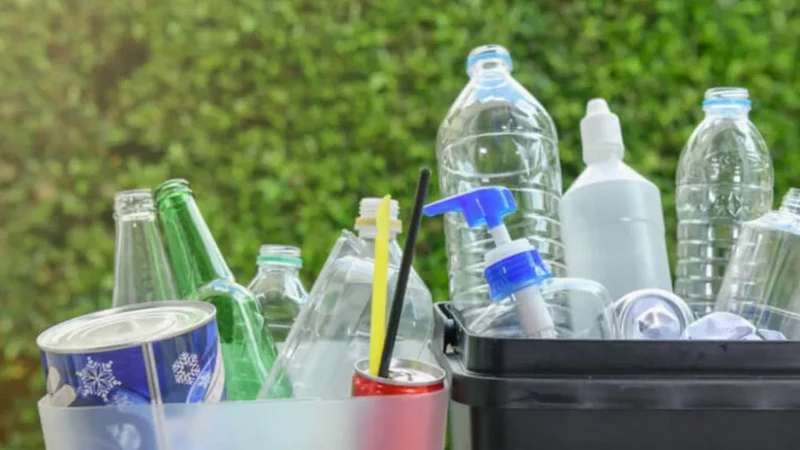 Экологические перемены в отелях: новые стандарты обслуживания этого сезона