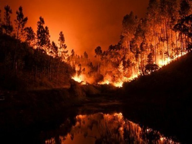 Сибирь охватили масштабные лесные пожары