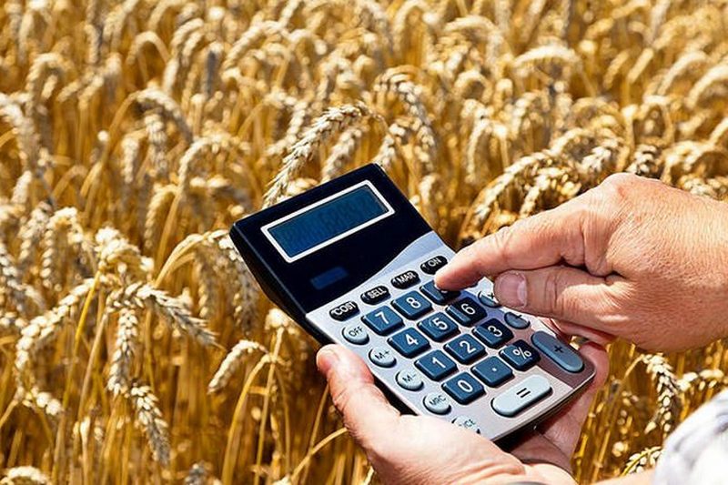 Начался прием заявок от фермеров на получение кредита в 500 000 гривен