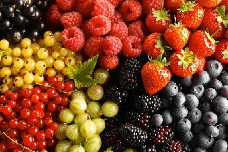 В Украине выросла цена на ягоды по сравнению с прошлым годом - эксперт