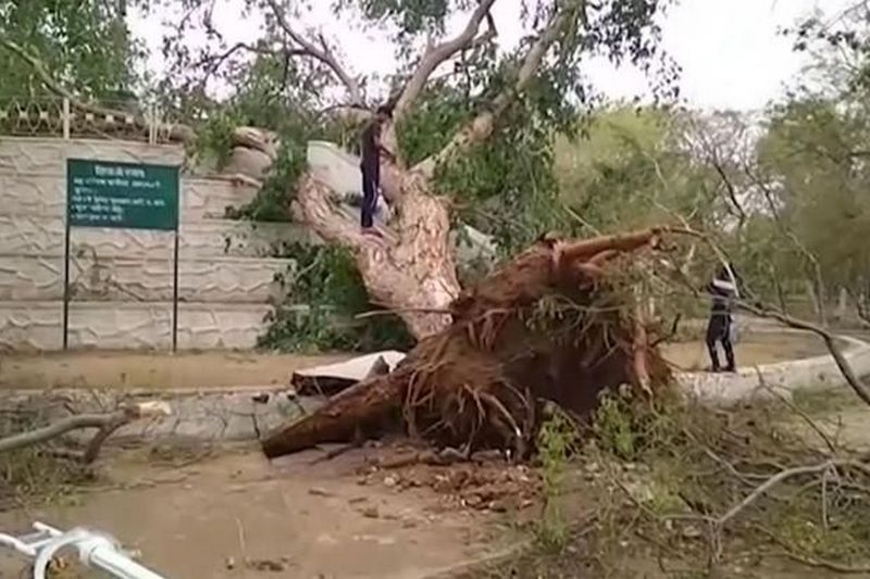 В Индии из-за урагана погибли 30 человек, еще 20 пострадали