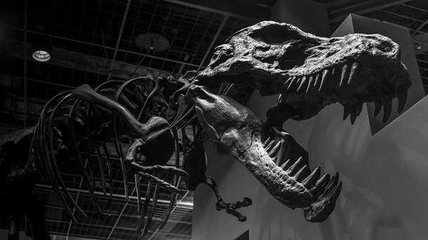 Ученые доказали невозможность воскрешения динозавров