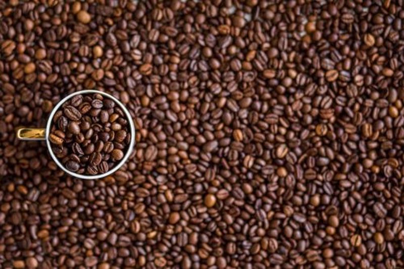Значительно влияет на продолжительность жизни: ответ ученых любителям растворимого кофе