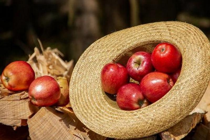 Яблочный Спас 2018: что нужно и что нельзя делать в этот день