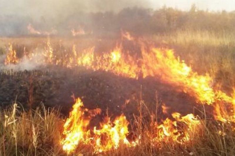 В Луганской области горит химзавод: огонь тушат третьи сутки