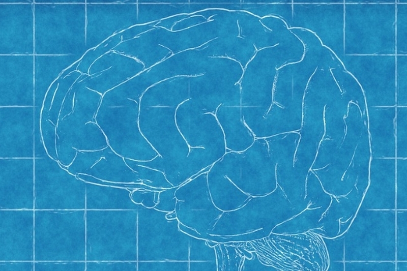 Ученые выявили участки мозга, ответственные за составление рассказов