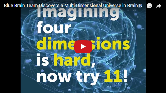В мозге нашли 11 измерений