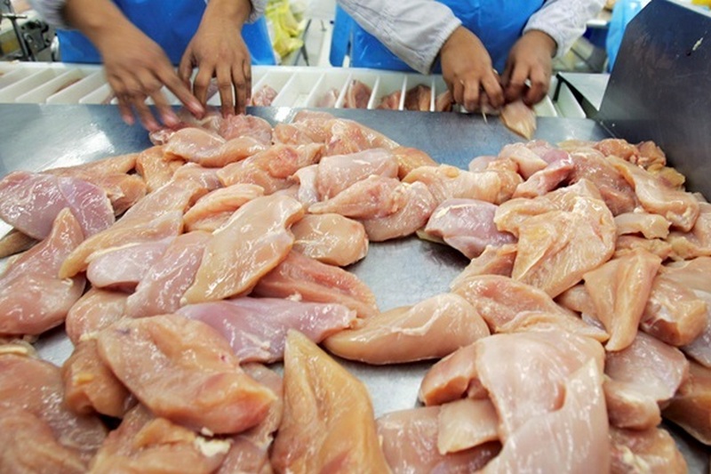 Украина в шестерку экспортеров курятины в мире