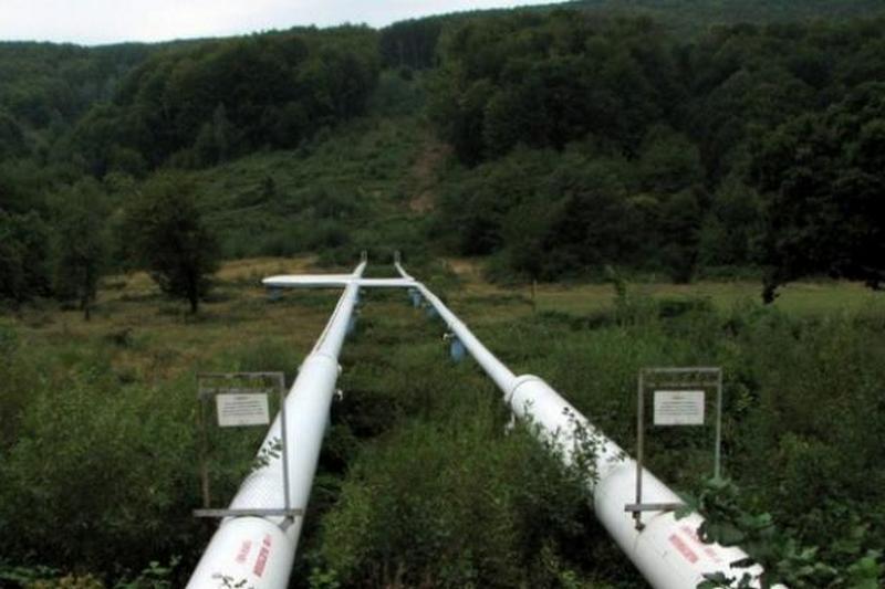 На Закарпатье зафиксировали утечку нефти