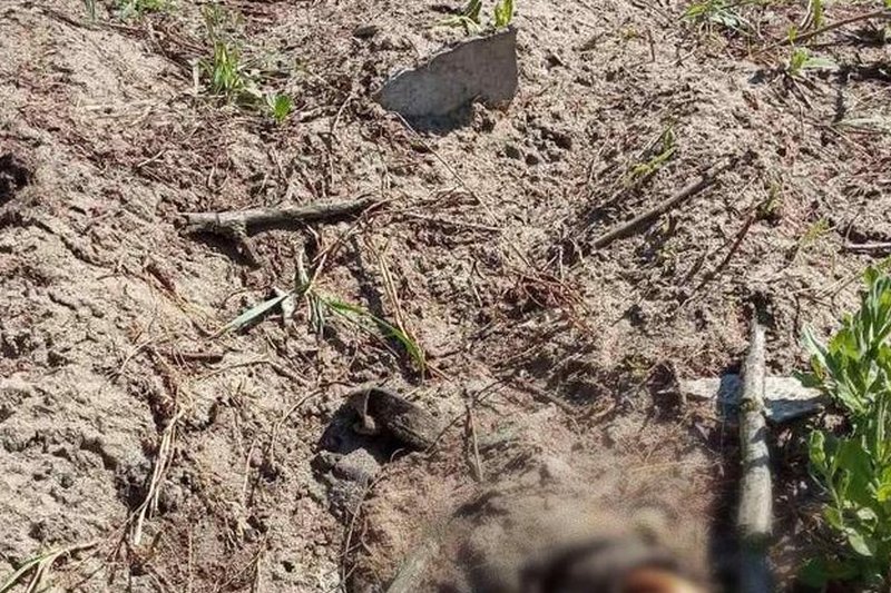 Под Днепром нашли закопанный труп человека