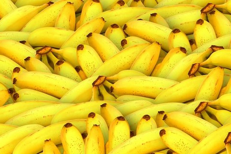 В Нидерландах среди бананов нашли 1,6 тонны кокаина
