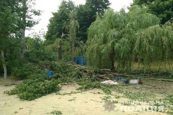 На базе отдыха в Харьковской области на людей упало дерево, погибла женщина.