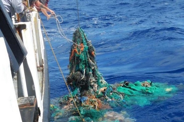 Более половины мирового океана повреждено людьми - ученые